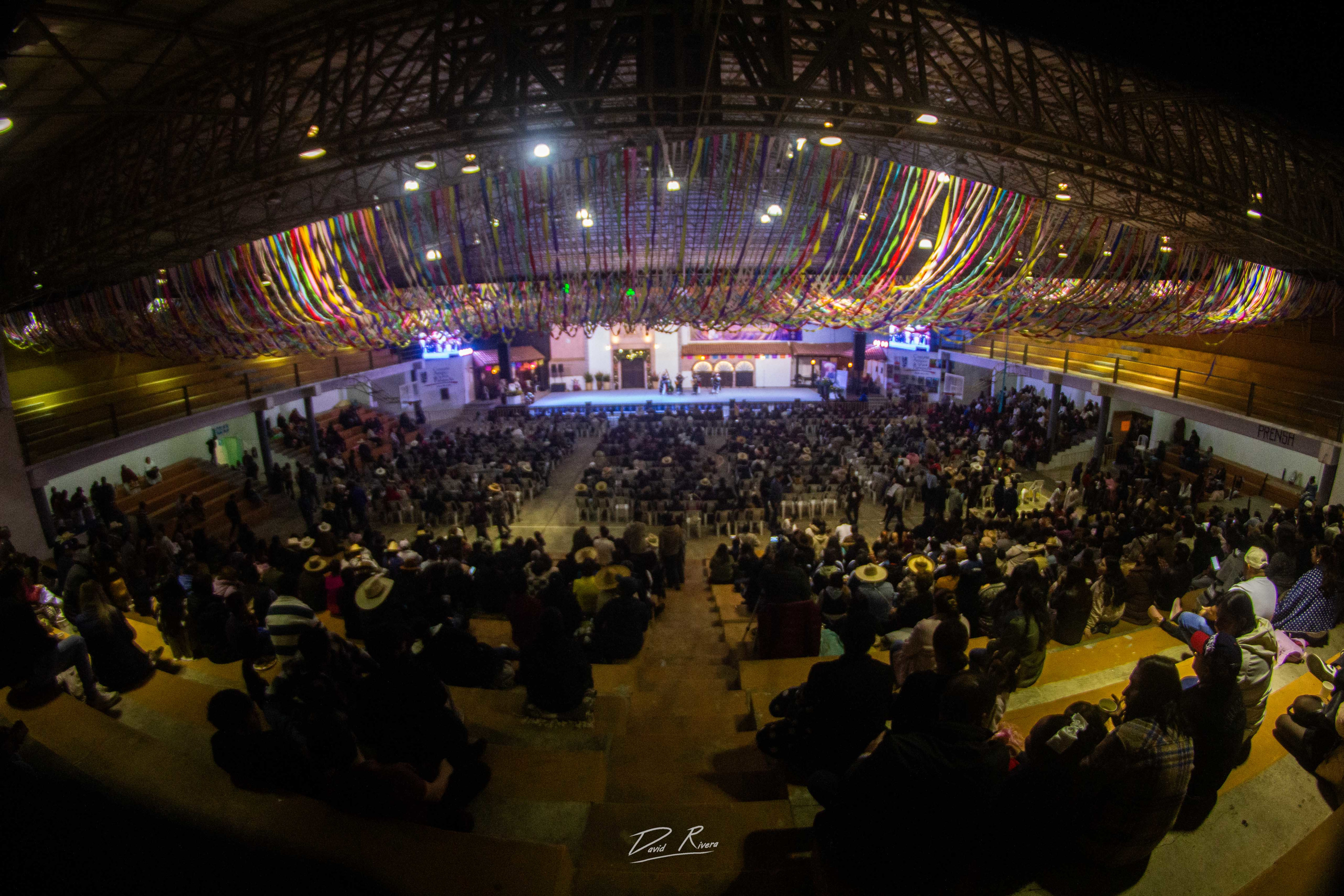 PIRERIS LUPILLO Y NALO Y AMIGOS DE LA SIERRA - Fotografía 14