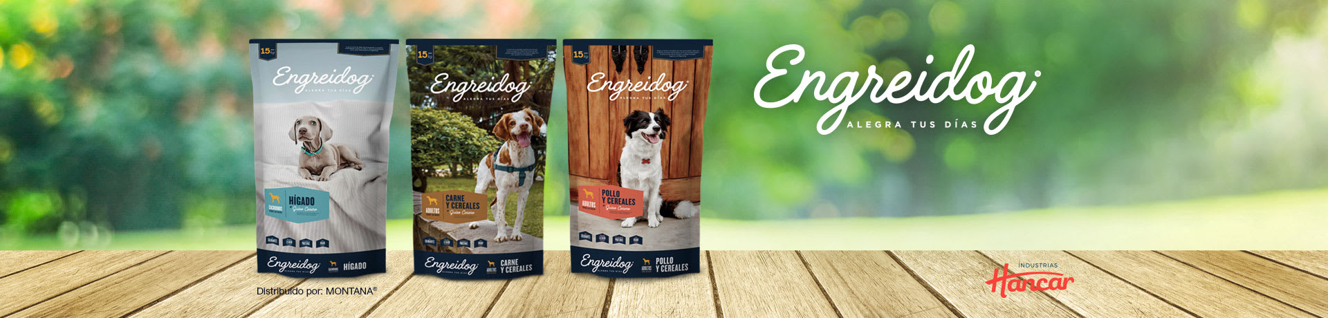 Banner-Engreidog