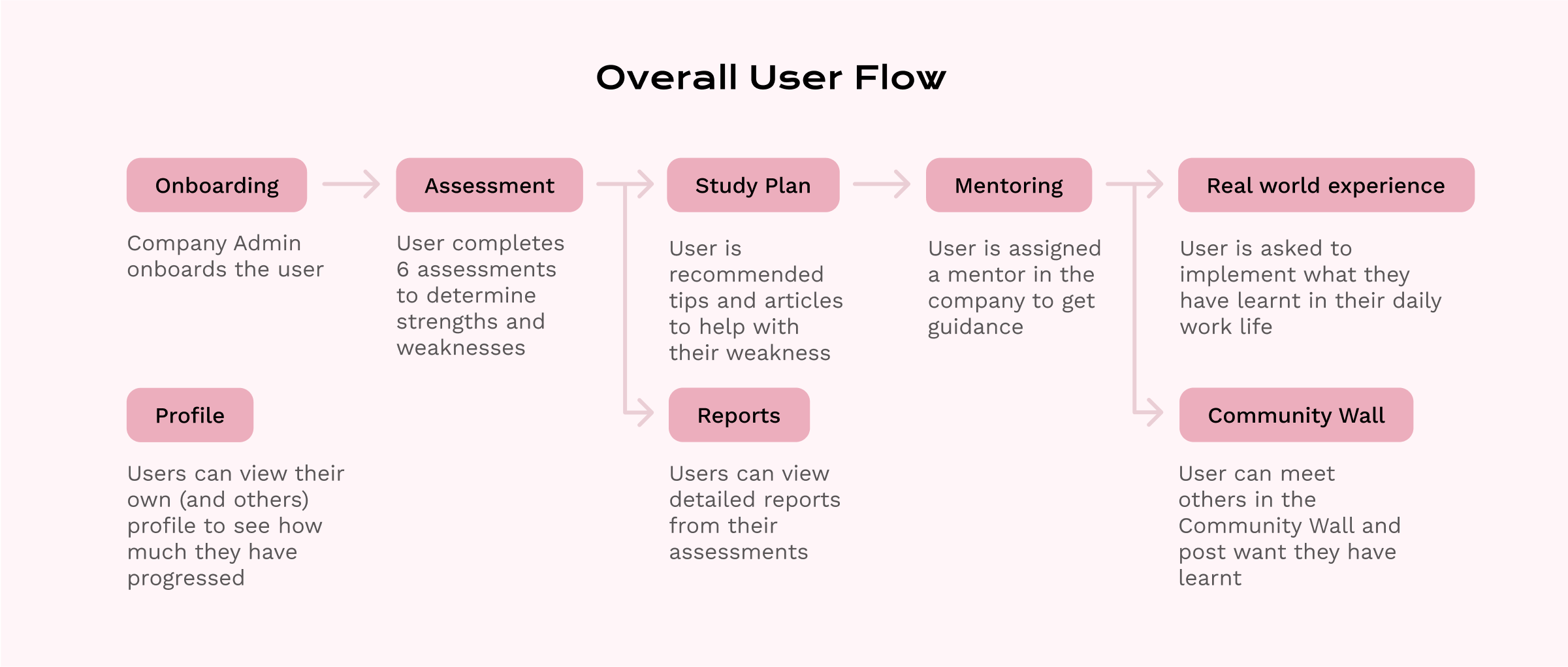Overall User Flow