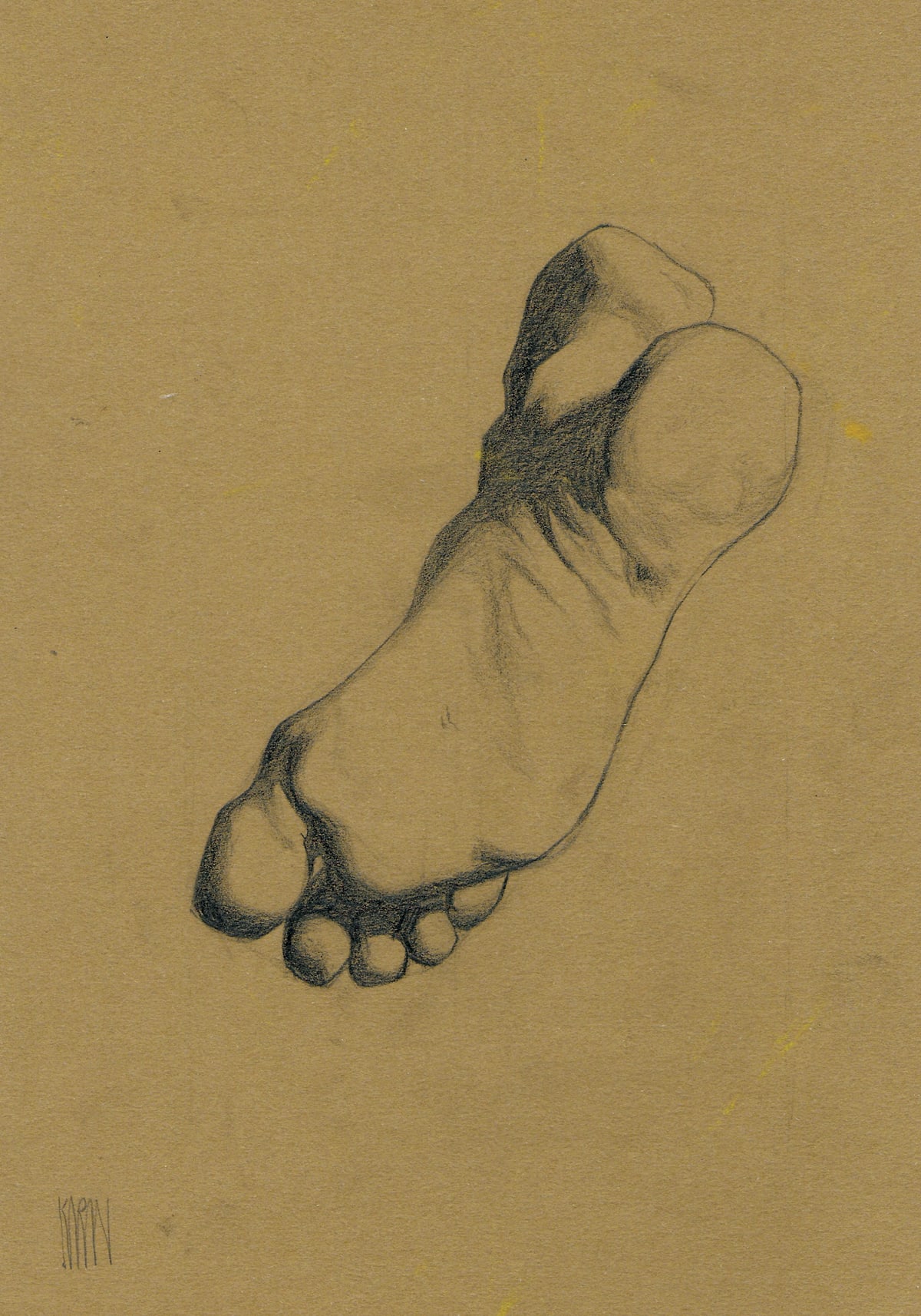 https://res.cloudinary.com/dgksx9vlc/image/upload/v1766165114/sketchbook%20new/barque_plate_11_na4yla.jpg