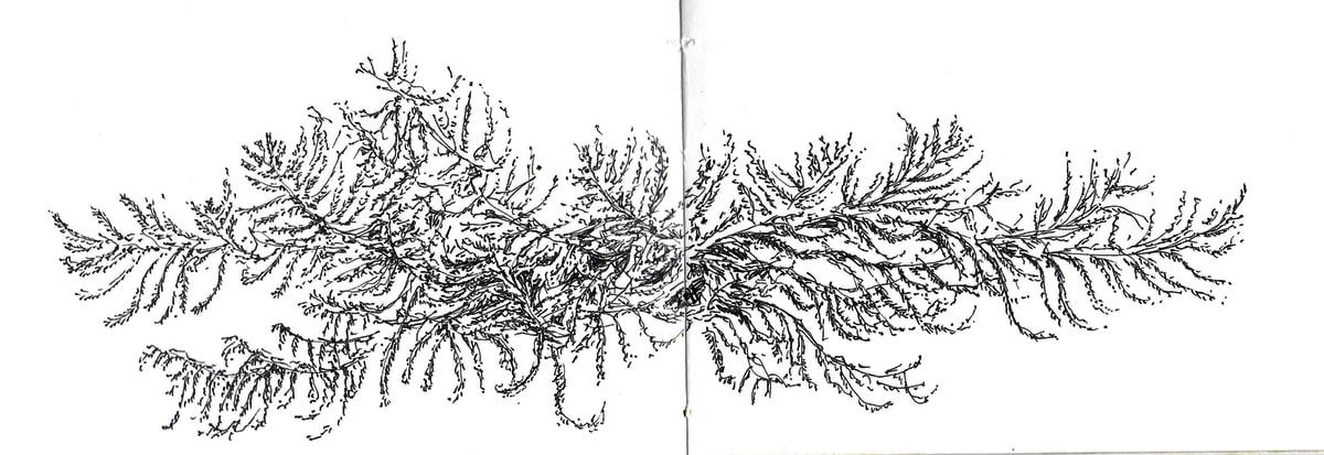 https://res.cloudinary.com/dgksx9vlc/image/upload/v1766165153/sketchbook%20new/christmas2_fs6gx6.jpg