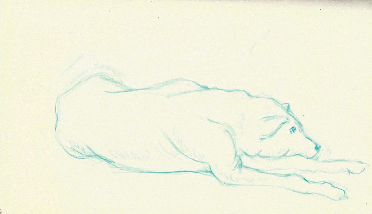 https://res.cloudinary.com/dgksx9vlc/image/upload/v1766165186/sketchbook%20new/dog2_i5zoht.jpg