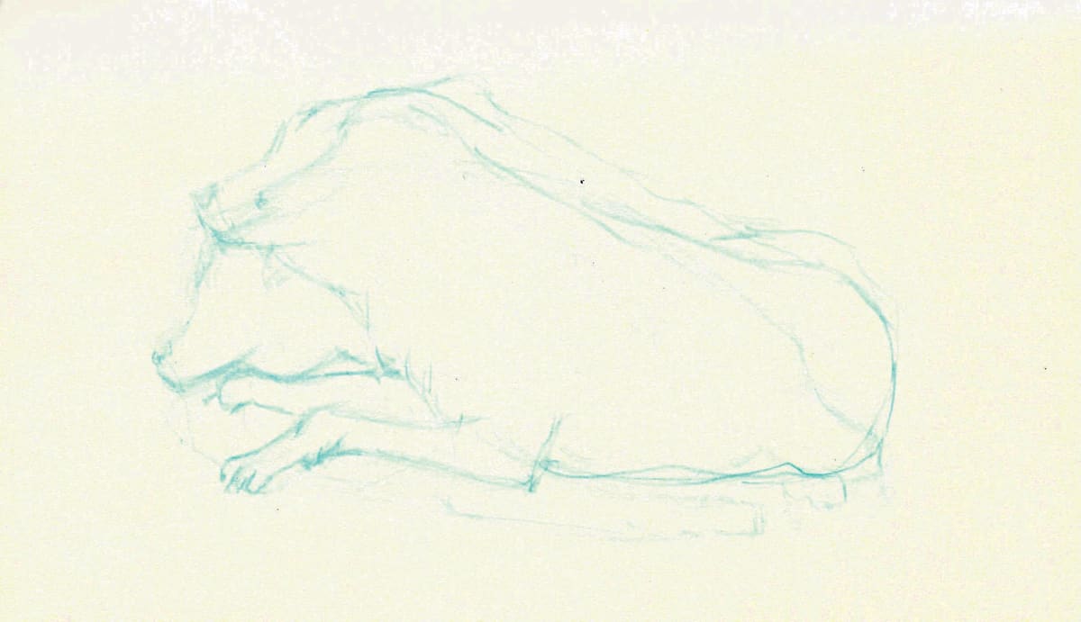 https://res.cloudinary.com/dgksx9vlc/image/upload/v1766165187/sketchbook%20new/dog3_urvrcy.jpg