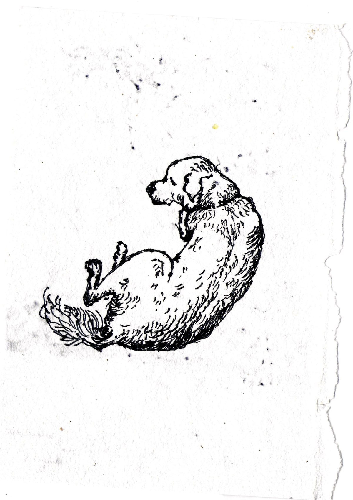 https://res.cloudinary.com/dgksx9vlc/image/upload/v1766165189/sketchbook%20new/dog7_sighls.jpg