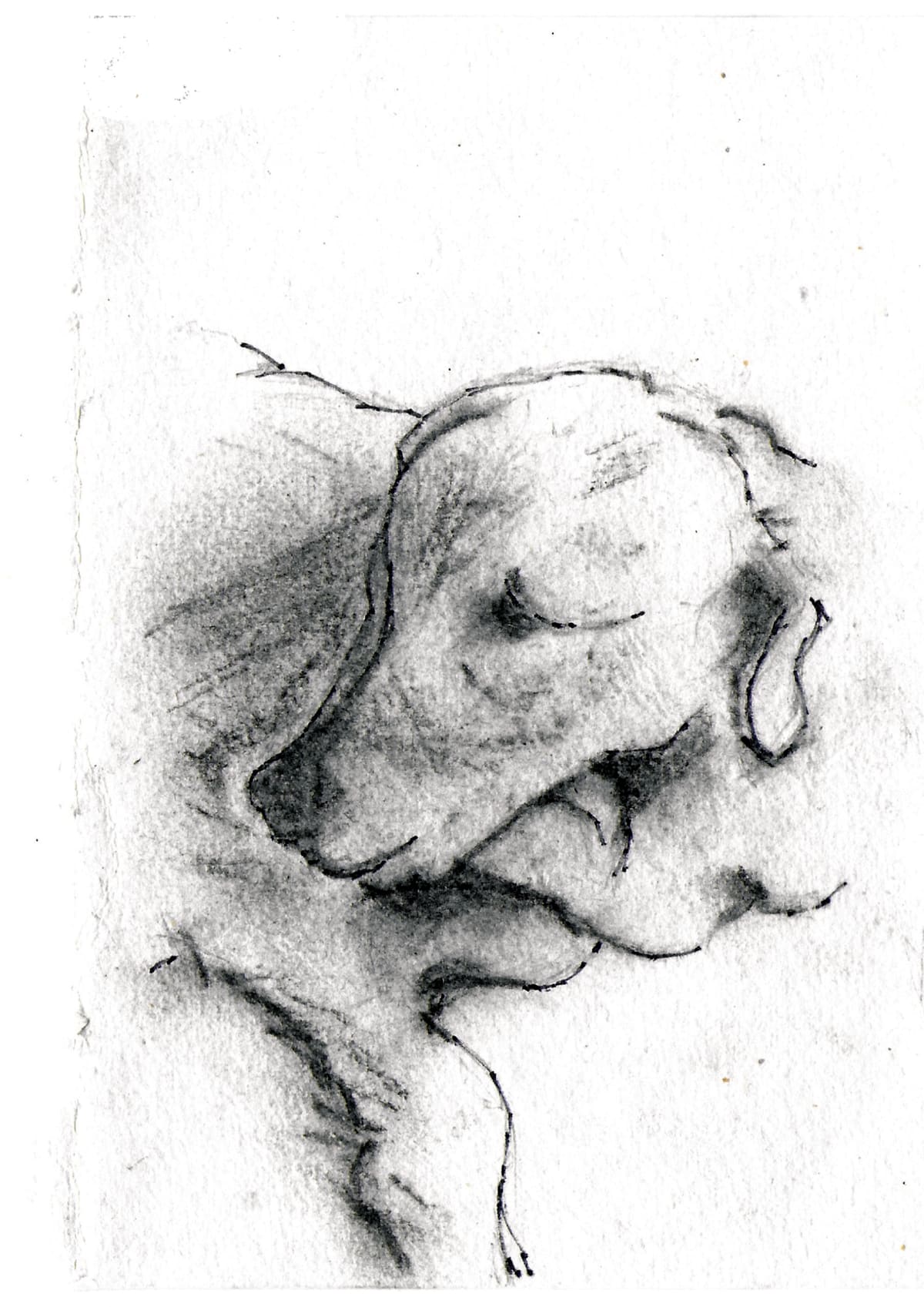 https://res.cloudinary.com/dgksx9vlc/image/upload/v1766165195/sketchbook%20new/dog8_yq2616.jpg