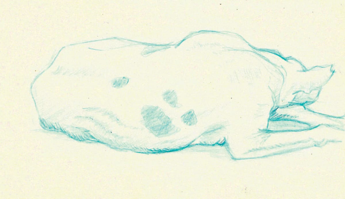 https://res.cloudinary.com/dgksx9vlc/image/upload/v1766165174/sketchbook%20new/dog_cje76n.jpg