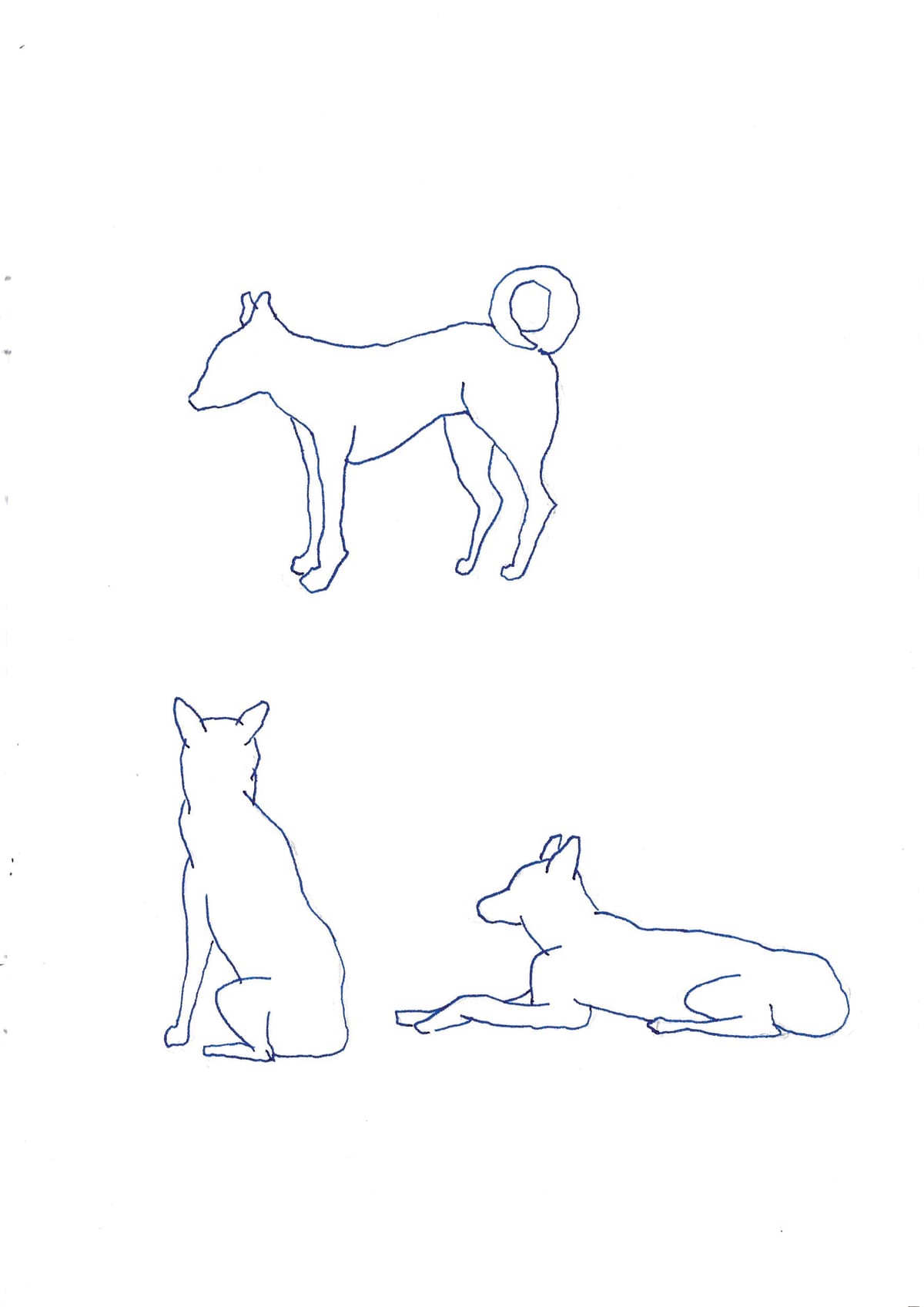 https://res.cloudinary.com/dgksx9vlc/image/upload/v1766165193/sketchbook%20new/dogs_knfdat.jpg