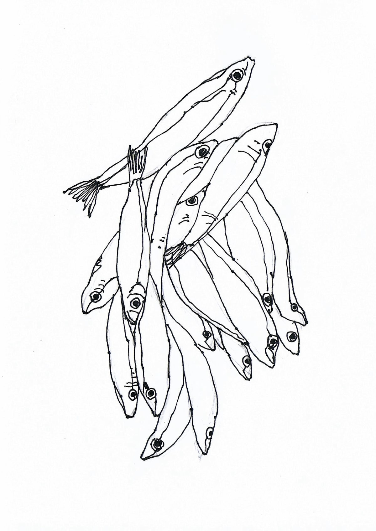 https://res.cloudinary.com/dgksx9vlc/image/upload/v1766165205/sketchbook%20new/fish_btad11.jpg