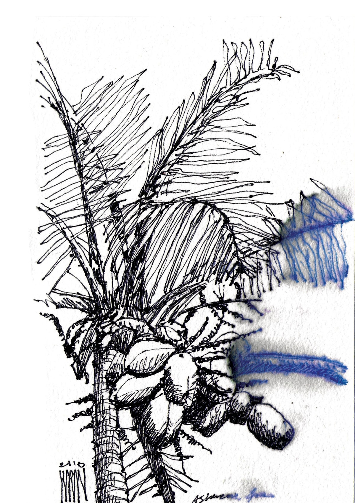 https://res.cloudinary.com/dgksx9vlc/image/upload/v1766165245/sketchbook%20new/goa30_w9jmlw.jpg