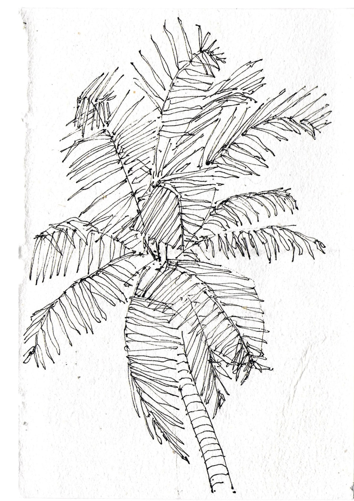 https://res.cloudinary.com/dgksx9vlc/image/upload/v1766165248/sketchbook%20new/goa31_r5cnkv.jpg