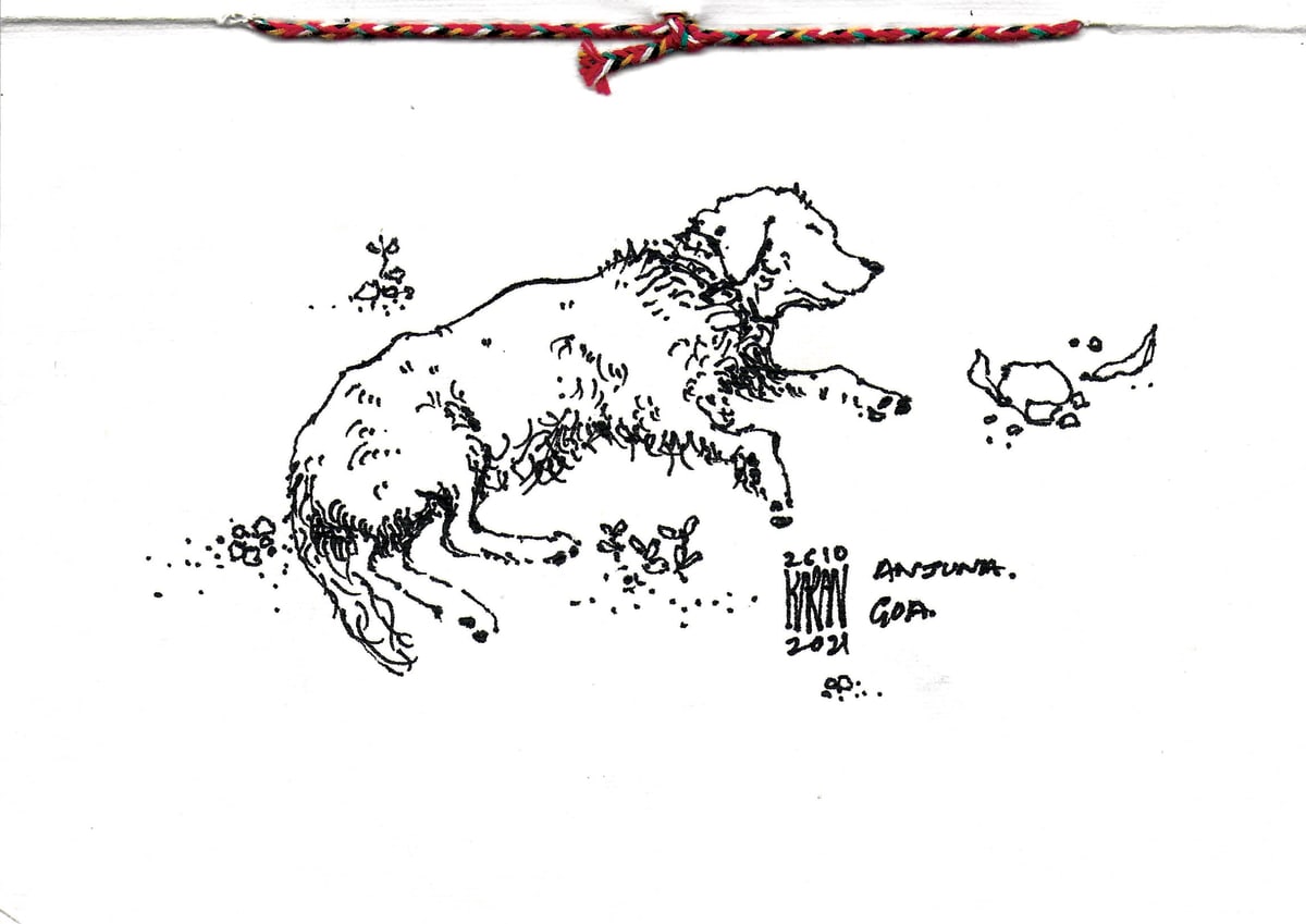 https://res.cloudinary.com/dgksx9vlc/image/upload/v1766165223/sketchbook%20new/goa_dog_q7vd7r.jpg
