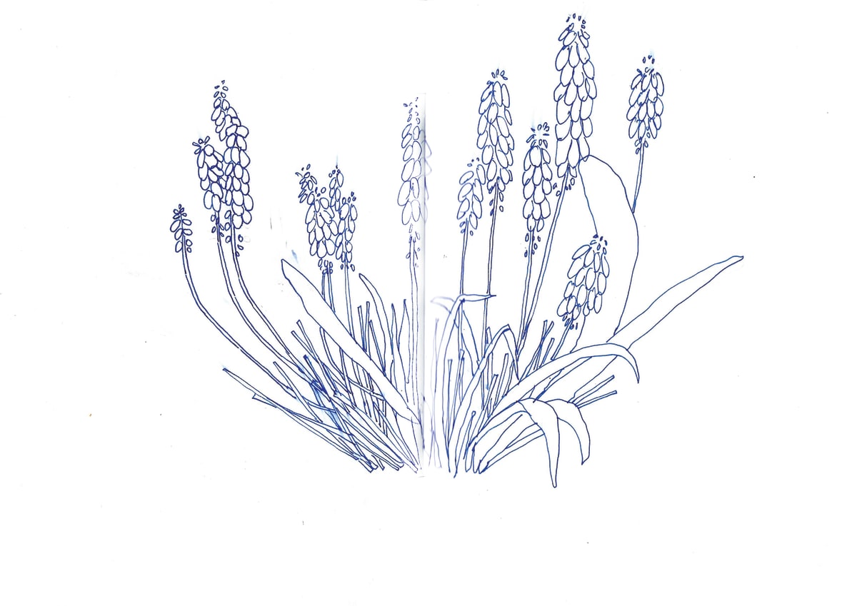 https://res.cloudinary.com/dgksx9vlc/image/upload/v1766165341/sketchbook%20new/lavender_snjkzh.jpg