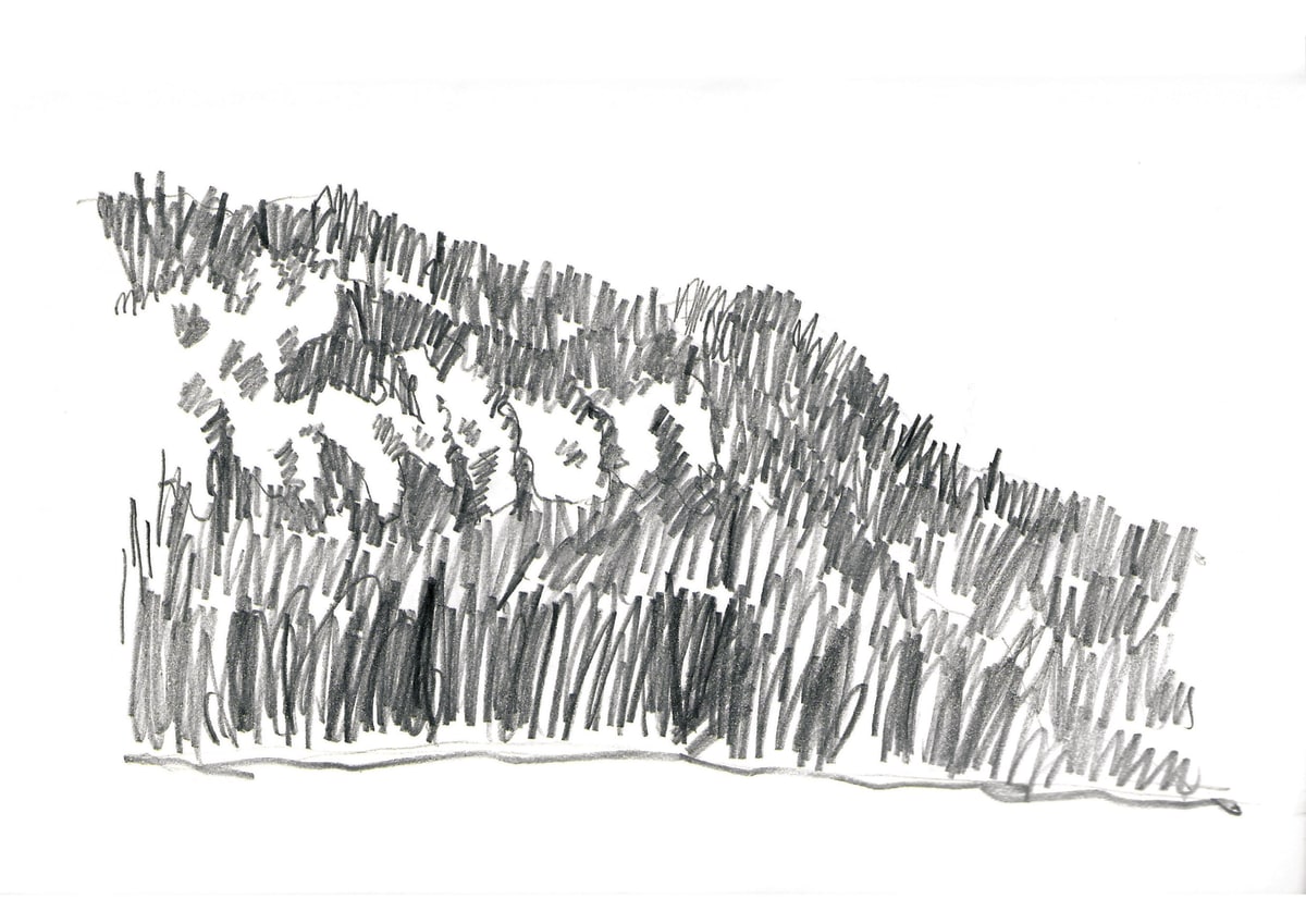 https://res.cloudinary.com/dgksx9vlc/image/upload/v1766165401/sketchbook%20new/mittenwald6_za9vzs.jpg