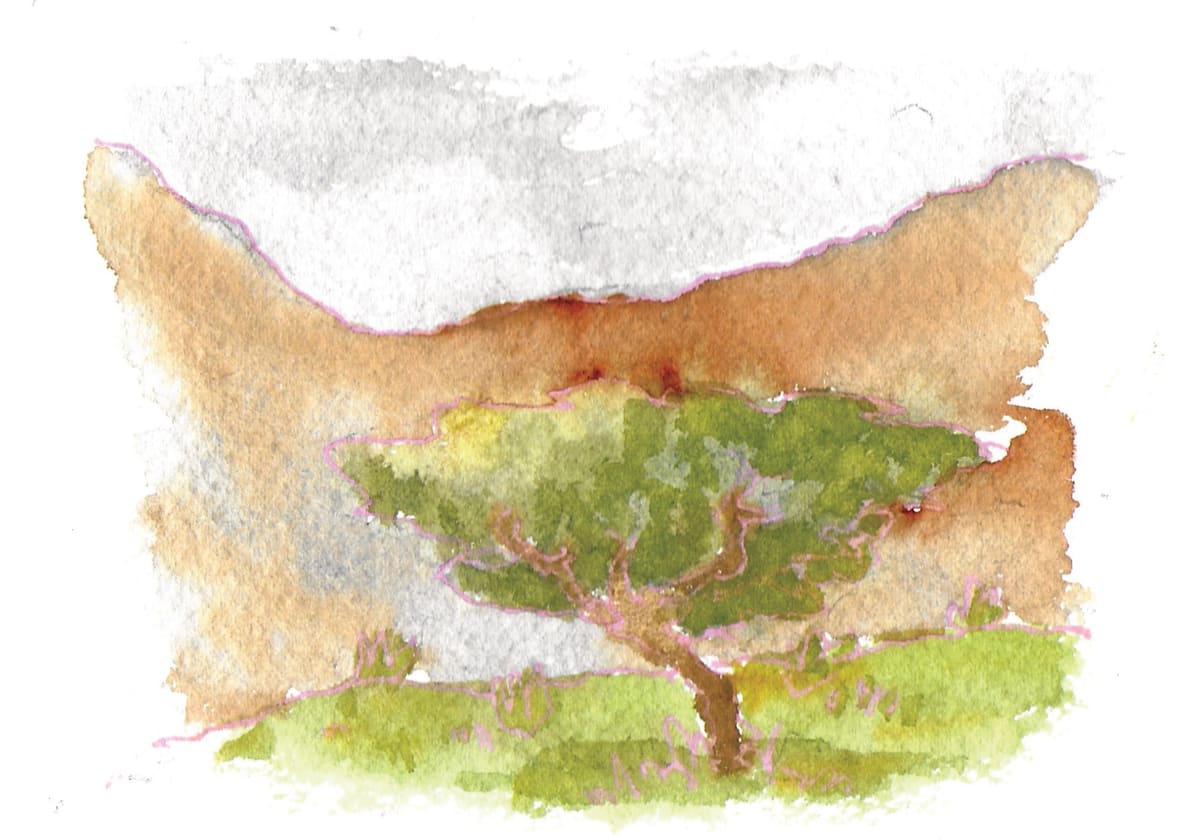 https://res.cloudinary.com/dgksx9vlc/image/upload/v1766165396/sketchbook%20new/mittenwald_qfyxls.jpg