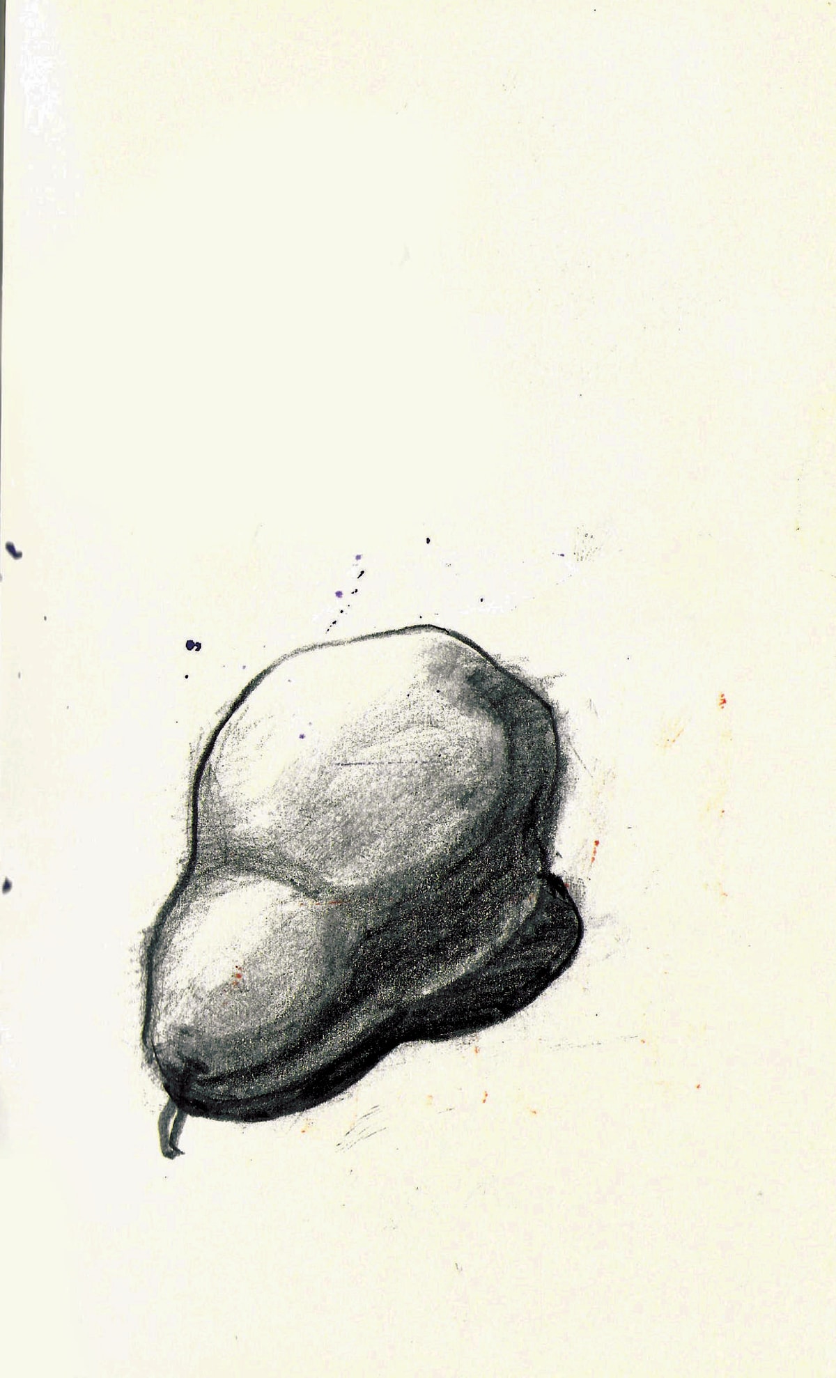 https://res.cloudinary.com/dgksx9vlc/image/upload/v1766165474/sketchbook%20new/pear_na5z8n.jpg