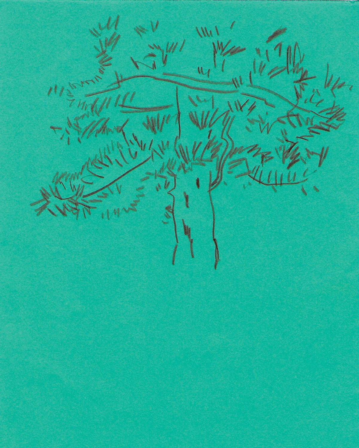 https://res.cloudinary.com/dgksx9vlc/image/upload/v1766165507/sketchbook%20new/plant_drawing_3_allh4n.jpg