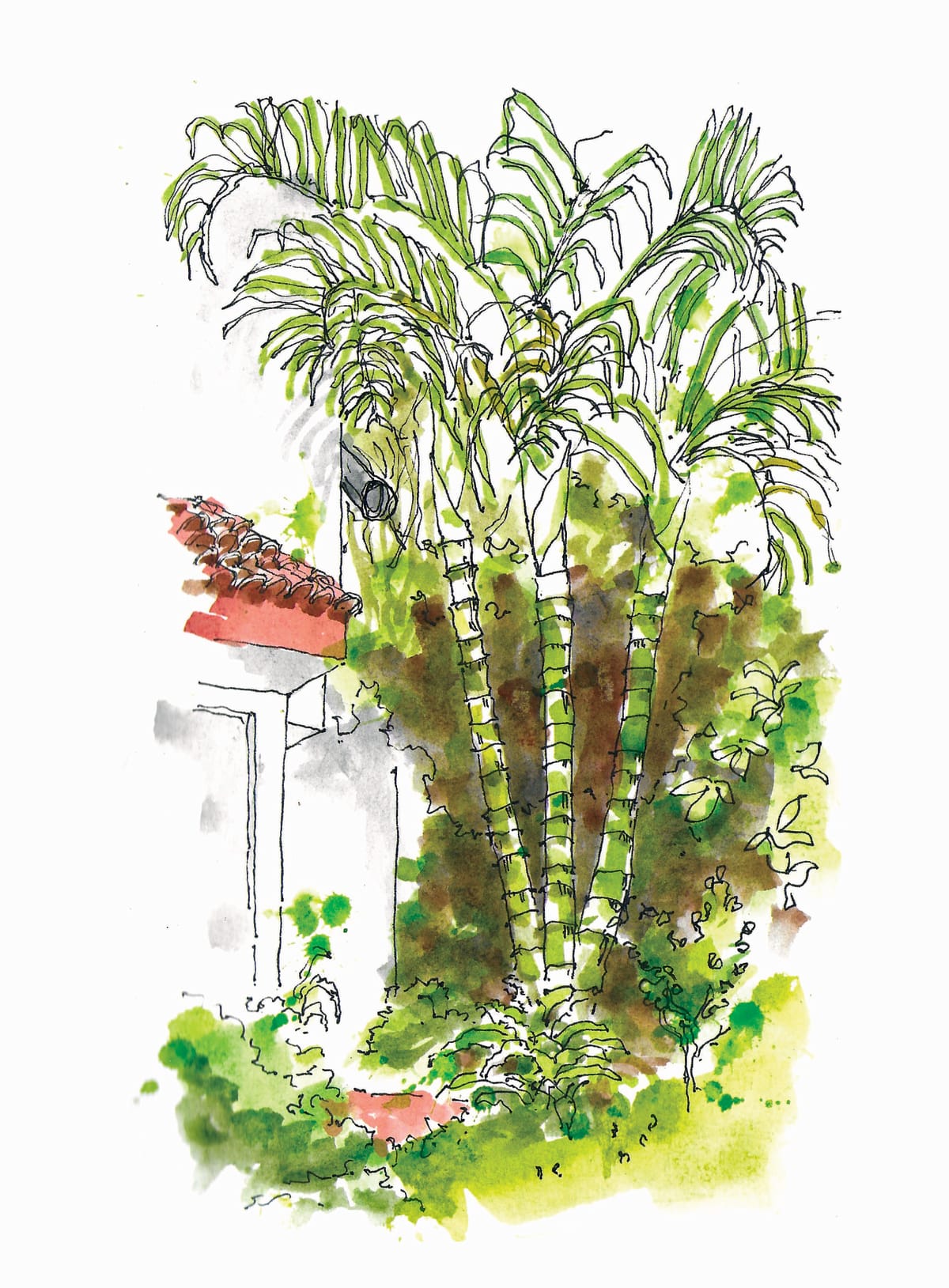 https://res.cloudinary.com/dgksx9vlc/image/upload/v1766165545/sketchbook%20new/plants32_s1tgry.jpg