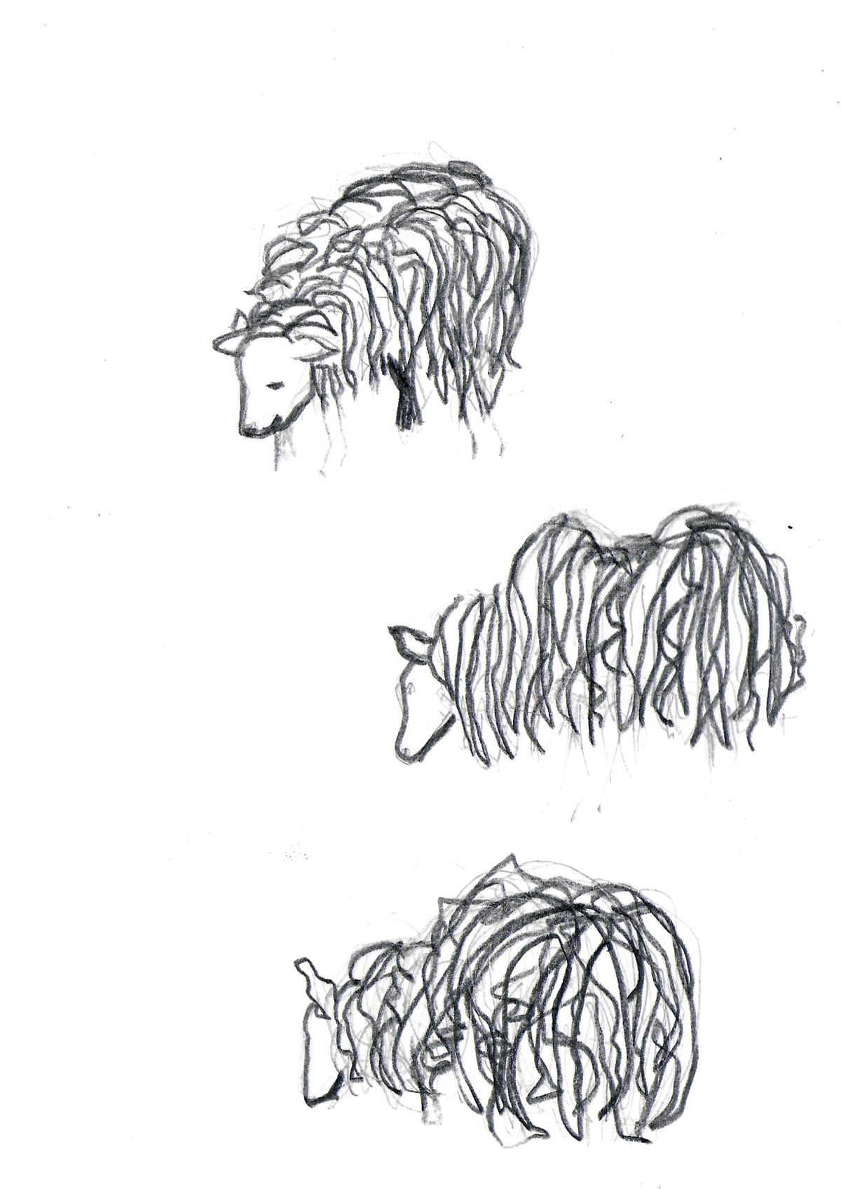 https://res.cloudinary.com/dgksx9vlc/image/upload/v1766165595/sketchbook%20new/sheep_loj8np.jpg