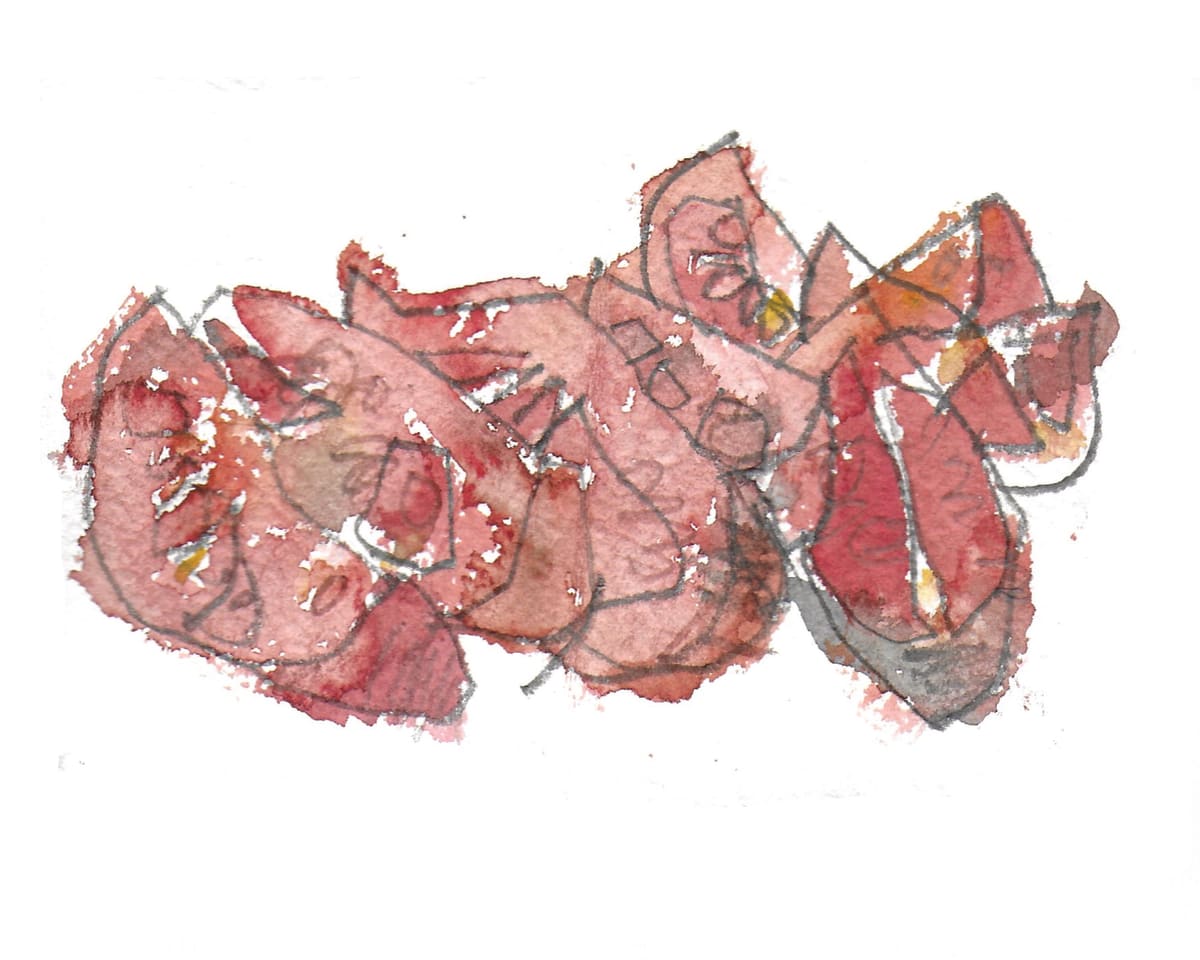 https://res.cloudinary.com/dgksx9vlc/image/upload/v1766165635/sketchbook%20new/tomatoes_mpsxck.jpg