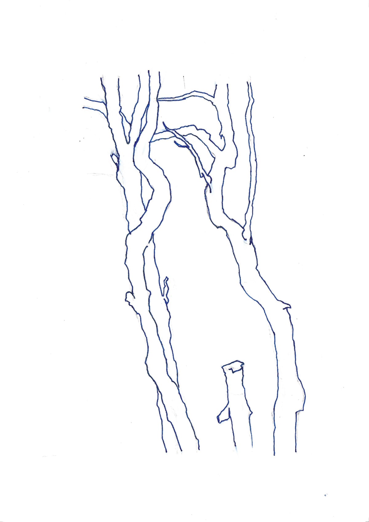 https://res.cloudinary.com/dgksx9vlc/image/upload/v1766165642/sketchbook%20new/tree2_o3o0ry.jpg
