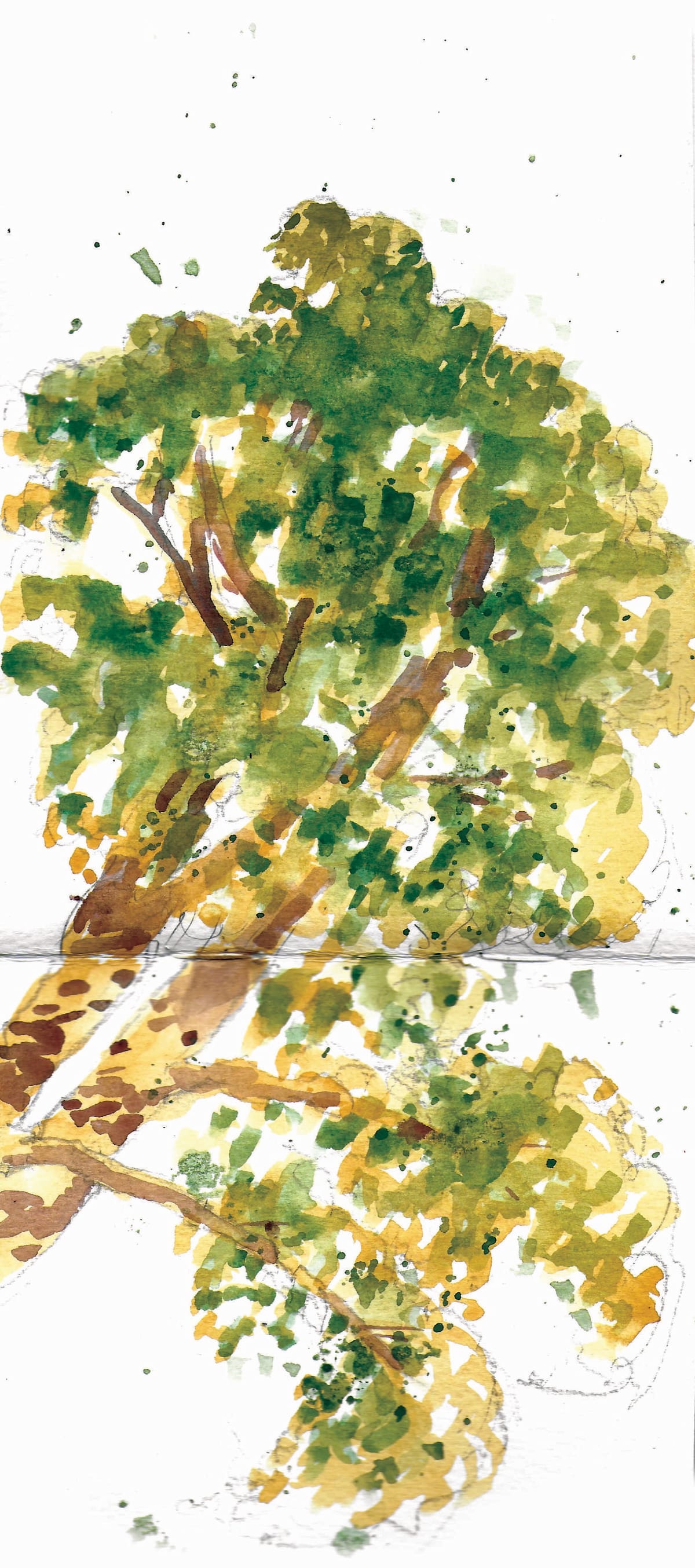 https://res.cloudinary.com/dgksx9vlc/image/upload/v1766165645/sketchbook%20new/tree_xbyqn5.jpg