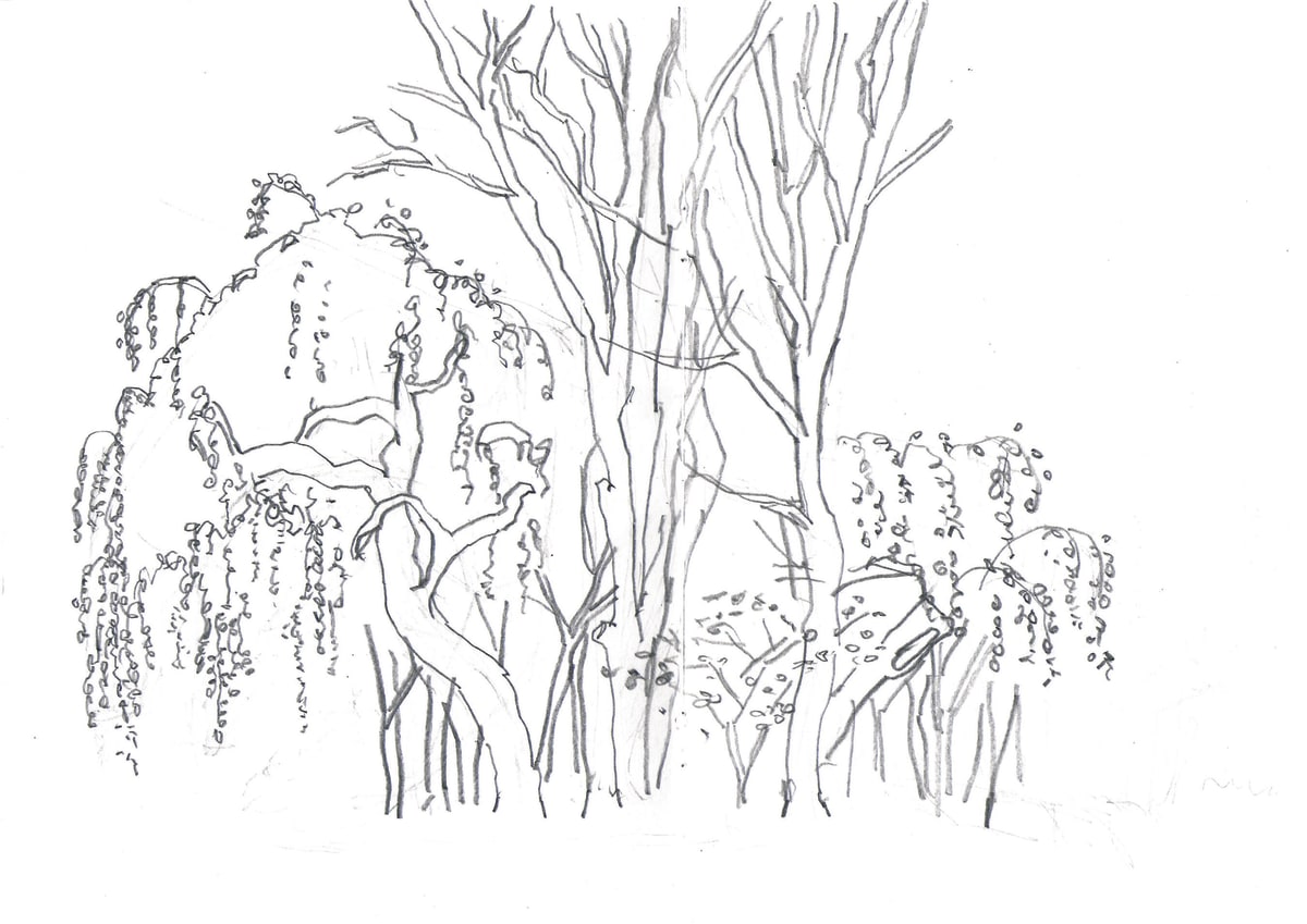https://res.cloudinary.com/dgksx9vlc/image/upload/v1766165643/sketchbook%20new/tress_moifr8.jpg