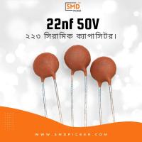 Ceramic Capacitor: 223 50V (22000pf, 22nf, 0.022uf)