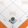 Tactile Switches 3.3x3.3mm 250gf TS3315A thumbnail 2