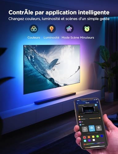 Vue 4 de Govee Tv Led Backlight