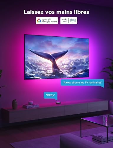 Vue 5 de Govee Tv Led Backlight