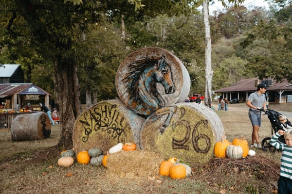 Painted hay bales with a horse and “Nashville ’26” surrounded by pumpkins