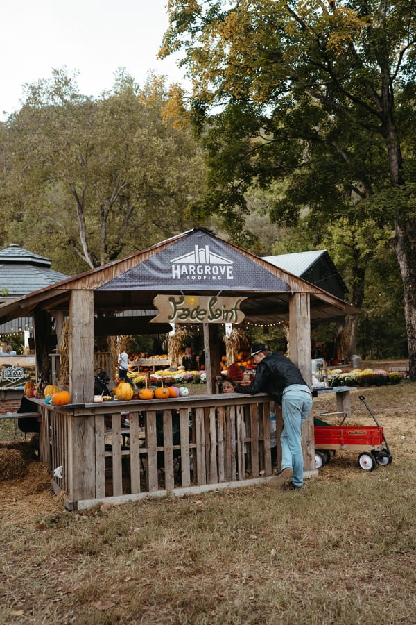 Wooden market stand with pumpkins and a red wagon