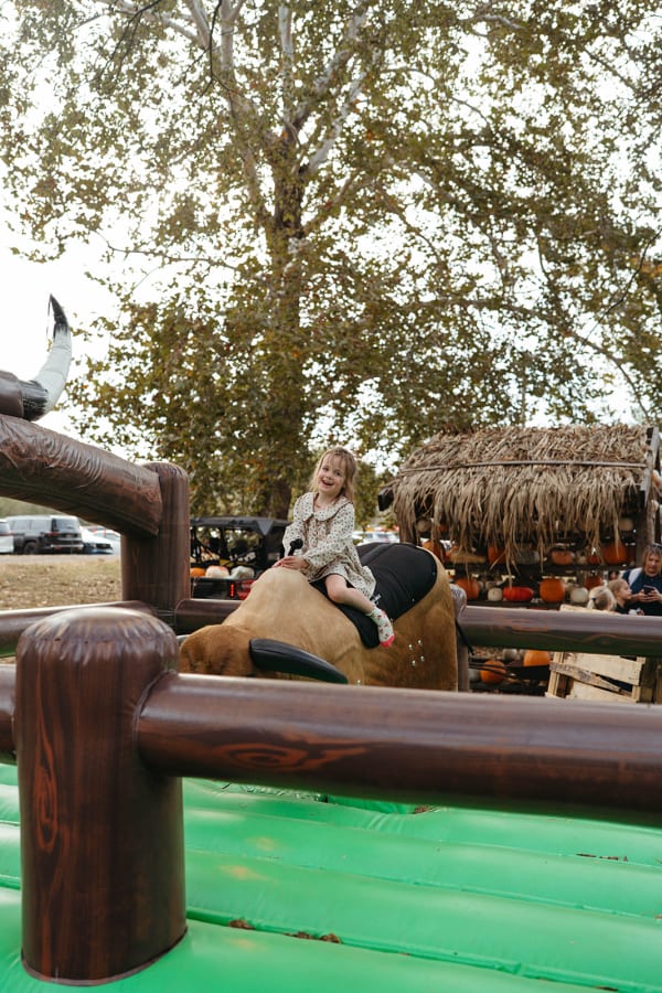 Child riding the mechanical bull