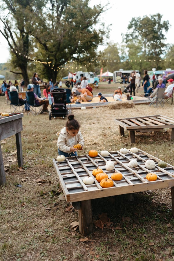 Child playing pumpkin tic-tac-toe