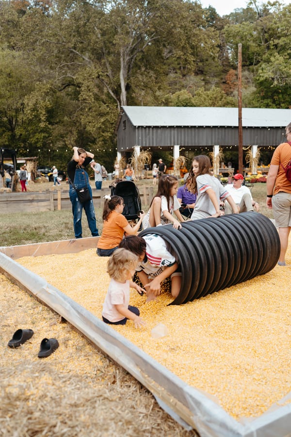 Kids crawling through the tunnel in the corn pit