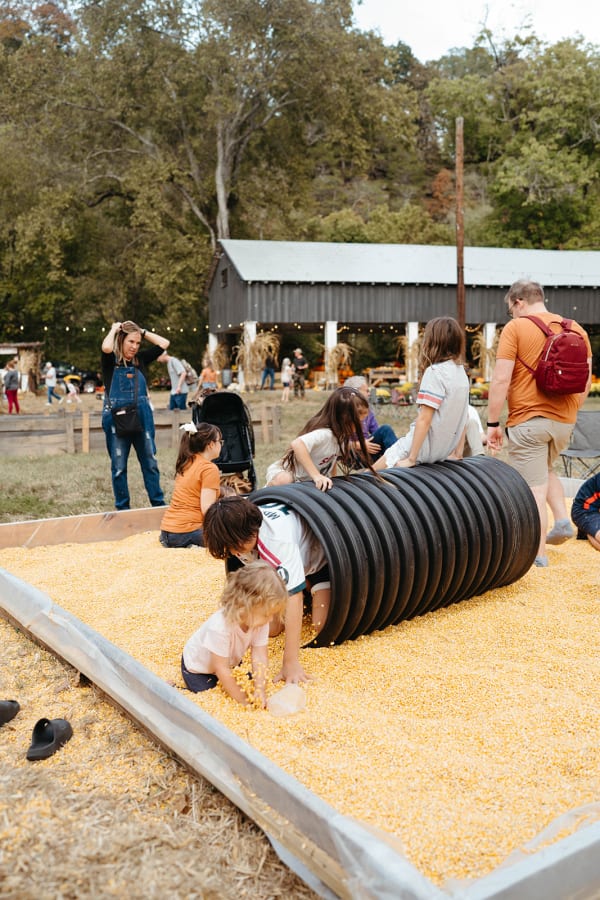 Kids crawling through the tunnel in the corn pit