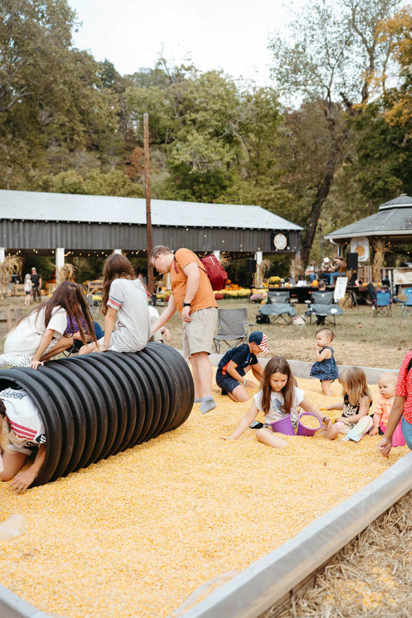 Kids crawling through the tunnel in the corn pit