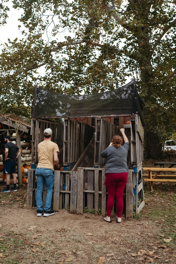 Guests at a rustic wooden pallet booth