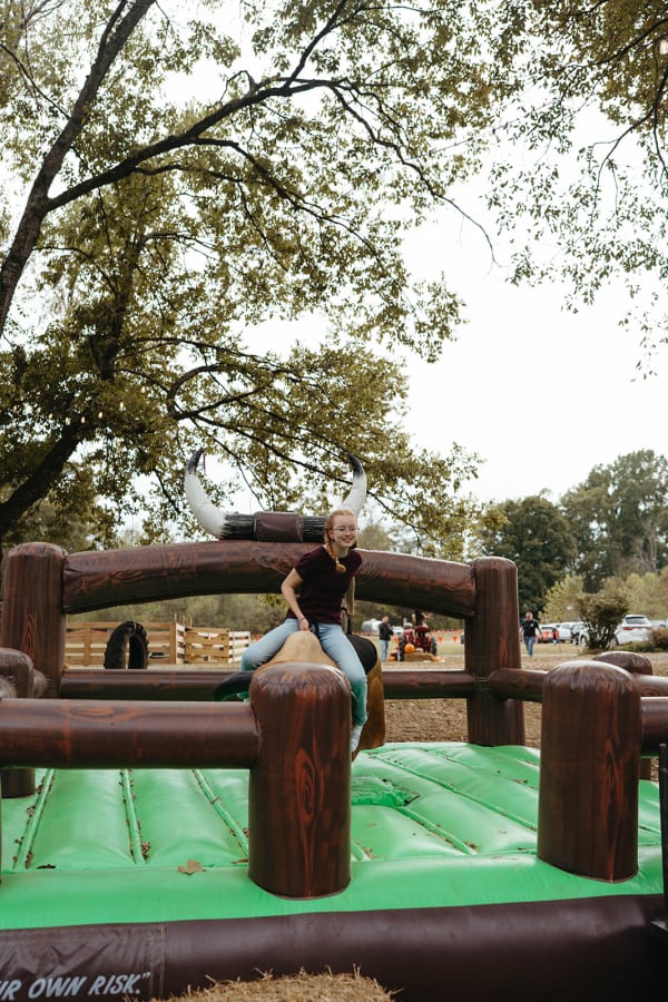 Rider on the mechanical bull