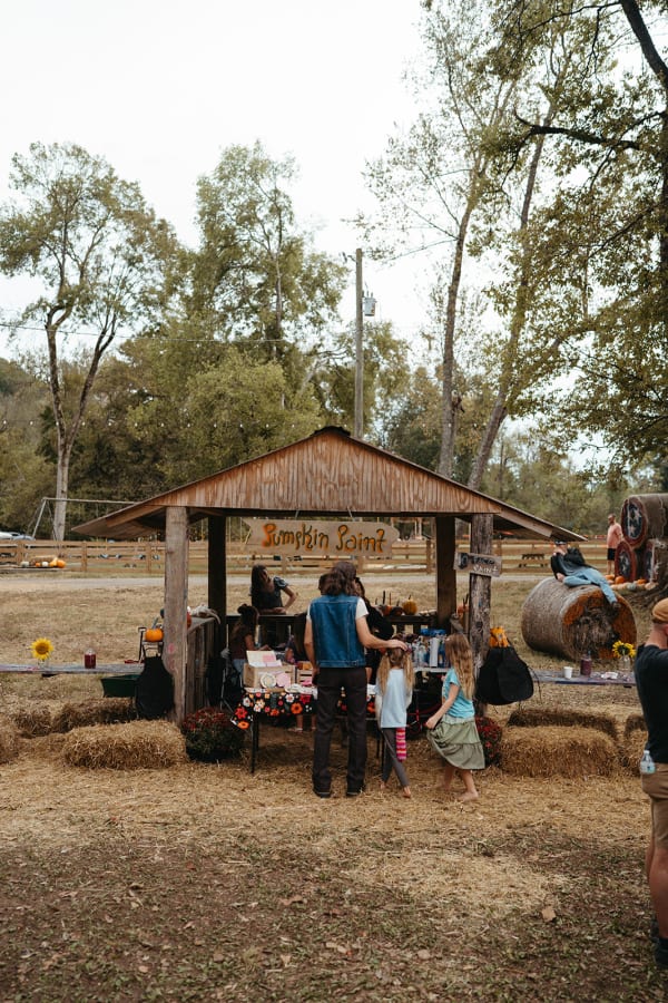 Guests at the rustic pavilion with hay bales