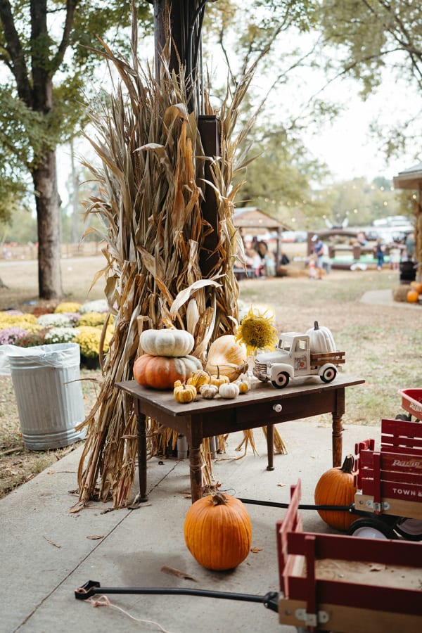 Corn stalks, sunflowers and a toy truck by the pavilion