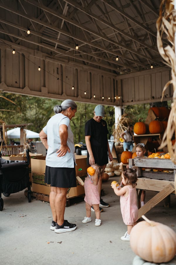 Little girls picking pumpkins with their family under the pavilion