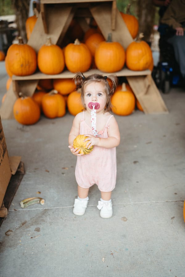 Toddler holding a tiny pumpkin in front of the pumpkin shelves