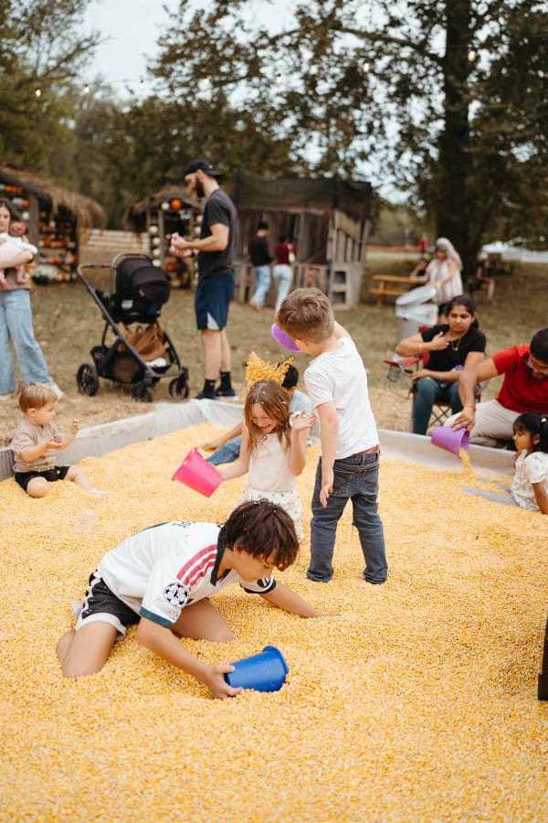 Kids digging with buckets in the corn pit