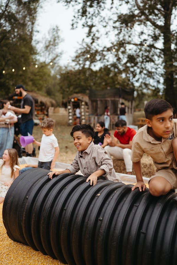 Kids digging with buckets in the corn pit
