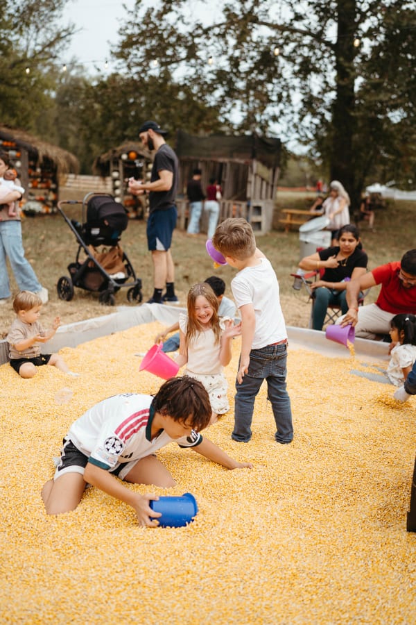 Kids digging with buckets in the corn pit
