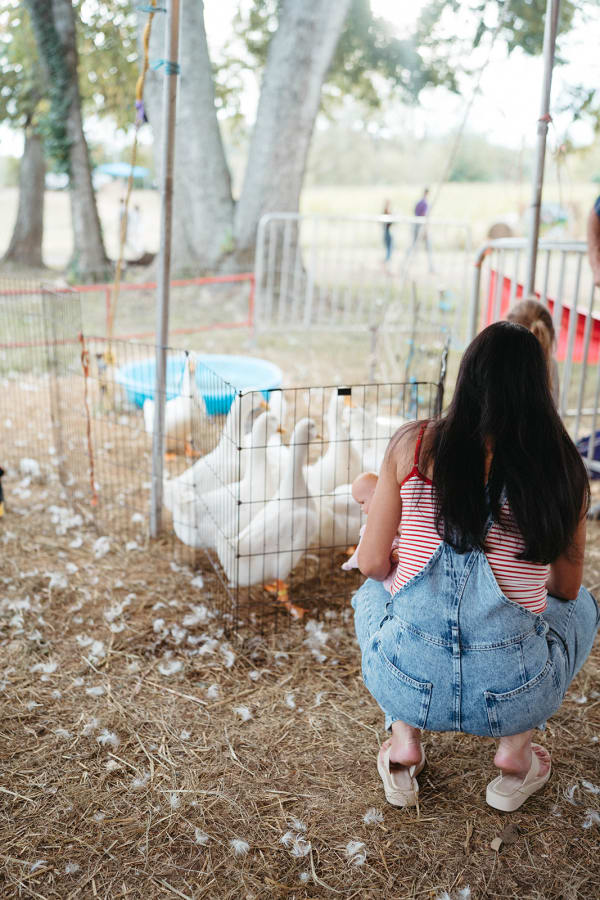 Kids watching the white ducks at the petting zoo