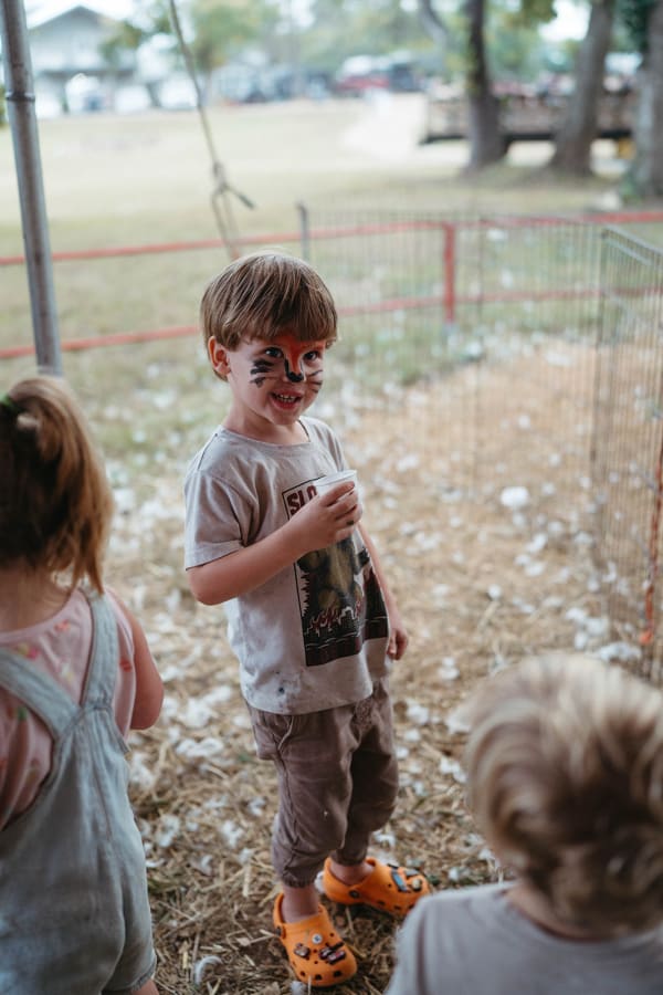 Little boy with face paint at the petting zoo