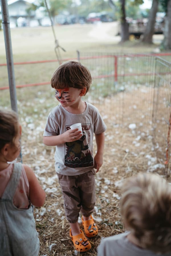 Little boy with face paint at the petting zoo