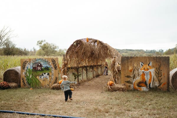 Toddler at the painted entrance to the corn maze